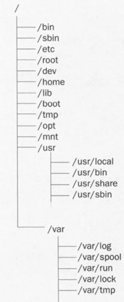 Regular directories in the the Red Hat system in the directory tree