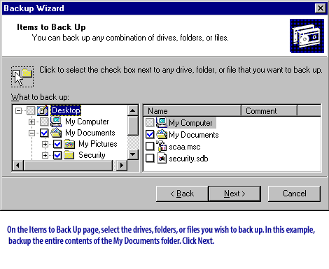 On the Items to Back Up page,