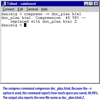 displays another Telnet session on a terminal interface with the following text: