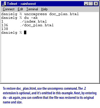 displays another Telnet session on a terminal interface with the following text:
