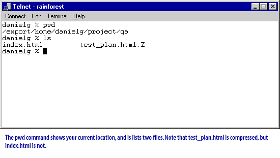 The pwd command shows your current location, and `ls` lists two files. Note that `test_plan.html` is compressed, but `index.html` is not.